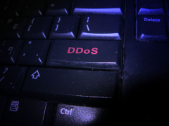 Bitcoin Gold targeted by DDoS attack on first day