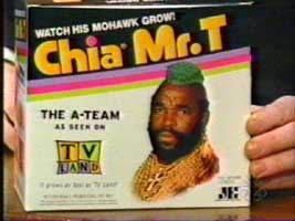 What does this Chia Mr. T have to do with ICOs?
