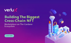 Verlux Cross-Chain NFT Marketplace continues to generate buzz as they announce their Pre-Sale Rounds